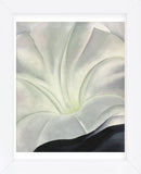 Morning Glory with Black, 1926 (Framed) -  Georgia O'Keeffe - McGaw Graphics