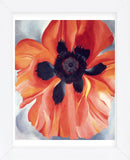 Red Poppy, No. VI, 1928 (Framed) -  Georgia O'Keeffe - McGaw Graphics