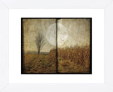 Al’s Tree (Framed) -  Dawne Polis - McGaw Graphics