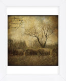 Hayrollers (Framed) -  Dawne Polis - McGaw Graphics