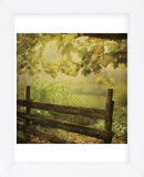 Autumn Overture (Framed) -  Dawne Polis - McGaw Graphics