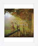 Farm Fence (Framed) -  Dawne Polis - McGaw Graphics