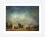 Hay Rolls (Framed) -  Dawne Polis - McGaw Graphics