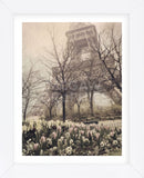 Eiffel in Springtime (Framed) -  Dawne Polis - McGaw Graphics