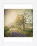 Sweet Road (Framed) -  Dawne Polis - McGaw Graphics