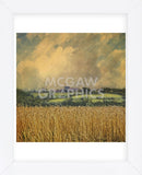 Picardy Wheat (Framed) -  Dawne Polis - McGaw Graphics