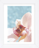 Palm Beach II  (Framed) -  Brian Leighton - McGaw Graphics