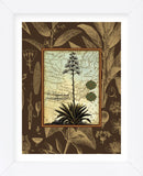 C. Capsolorum  (Framed) -  Karl Rattner - McGaw Graphics