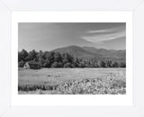 Adirondack Field (Framed) -  Erik Richards - McGaw Graphics