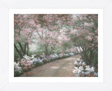 Azalea Walk (Framed) -  Diane Romanello - McGaw Graphics