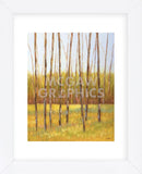 Tall Trees I (left) (Framed) -  Libby Smart - McGaw Graphics