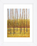 Tall Trees II (right) (Framed) -  Libby Smart - McGaw Graphics