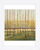 Grove of Trees (Framed) -  Libby Smart - McGaw Graphics