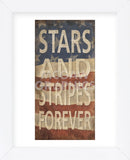 Stars and Stripes Forever (Framed) -  Sparx Studio - McGaw Graphics