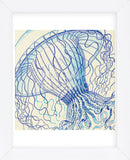 Vintage Jellyfish II (Framed) -  Sparx Studio - McGaw Graphics