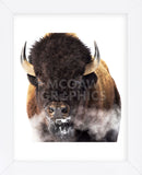Yellowstone Bison (Framed) -  Jason Savage - McGaw Graphics