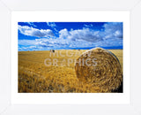 Hay & Sky (Framed) -  Jason Savage - McGaw Graphics