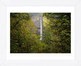 Oregon Waterfall (Framed) -  Jason Savage - McGaw Graphics
