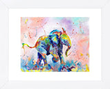 Colorful Elephant (Framed) -  Sarah Stribbling - McGaw Graphics