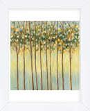 Awakening Tree Tops (Framed) -  Libby Smart - McGaw Graphics