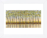 Canopy of Trees (Framed) -  Libby Smart - McGaw Graphics