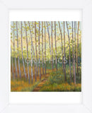 Vista Trees (Framed) -  Libby Smart - McGaw Graphics