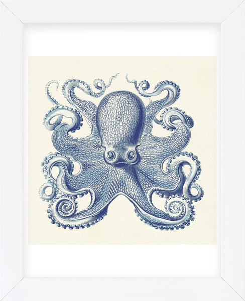 Octopus I (Framed) | McGaw Graphics