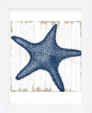 Seaside Starfish (Framed) -  Sparx Studio - McGaw Graphics