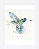 Hummingbird Flurry (Framed) -  Sillier than Sally - McGaw Graphics