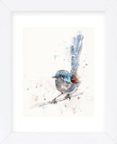 Mischief in the Making (Variegated Fairy Wren) (Framed) -  Sillier than Sally - McGaw Graphics