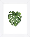 Monstera II (Framed) -  Ann Solo - McGaw Graphics