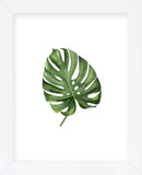 Monstera III (Framed) -  Ann Solo - McGaw Graphics