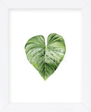 Green Leaf (Framed) -  Ann Solo - McGaw Graphics
