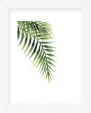 Palm (Framed) -  Ann Solo - McGaw Graphics