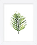 Palm Leaf I (Framed) -  Ann Solo - McGaw Graphics