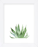 Agave I (Framed) -  Ann Solo - McGaw Graphics