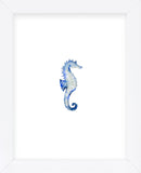 Seahorse (Framed) -  Ann Solo - McGaw Graphics