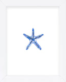 Starfish (Framed) -  Ann Solo - McGaw Graphics