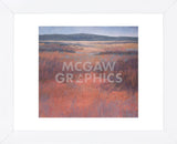 New Mexico Red (Framed) -  Jeannie Sellmer - McGaw Graphics