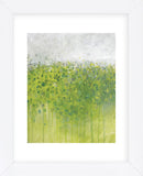 Mist on Green (Framed) -  Jessica Torrant - McGaw Graphics