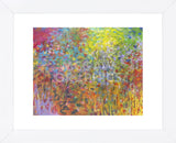 Radiance (Framed) -  Jessica Torrant - McGaw Graphics