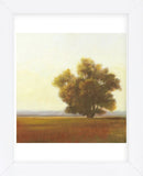 Lone Tree (Framed) -  Todd Telander - McGaw Graphics