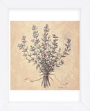 Scent of Thyme  (Framed) -  Todd Telander - McGaw Graphics