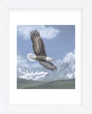 Soaring High (Framed) -  Todd Telander - McGaw Graphics