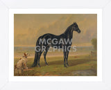 America‚Äôs Renowned Stallions, c. 1876 I (Framed) -  Vintage Reproduction - McGaw Graphics