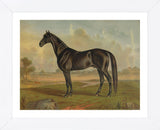 America‚Äôs Renowned Stallions, c. 1876 II (Framed) -  Vintage Reproduction - McGaw Graphics
