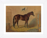 America’s Renowned Stallions, c. 1876 III (Framed) -  Vintage Reproduction - McGaw Graphics