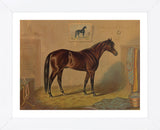 America’s Renowned Stallions, c. 1876 III (Framed) -  Vintage Reproduction - McGaw Graphics