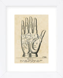 Palmistry: Palm Diagram (Framed) -  Vintage Reproduction - McGaw Graphics
