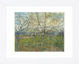 The Pink Orchard, 1888 (Framed) -  Vincent van Gogh - McGaw Graphics